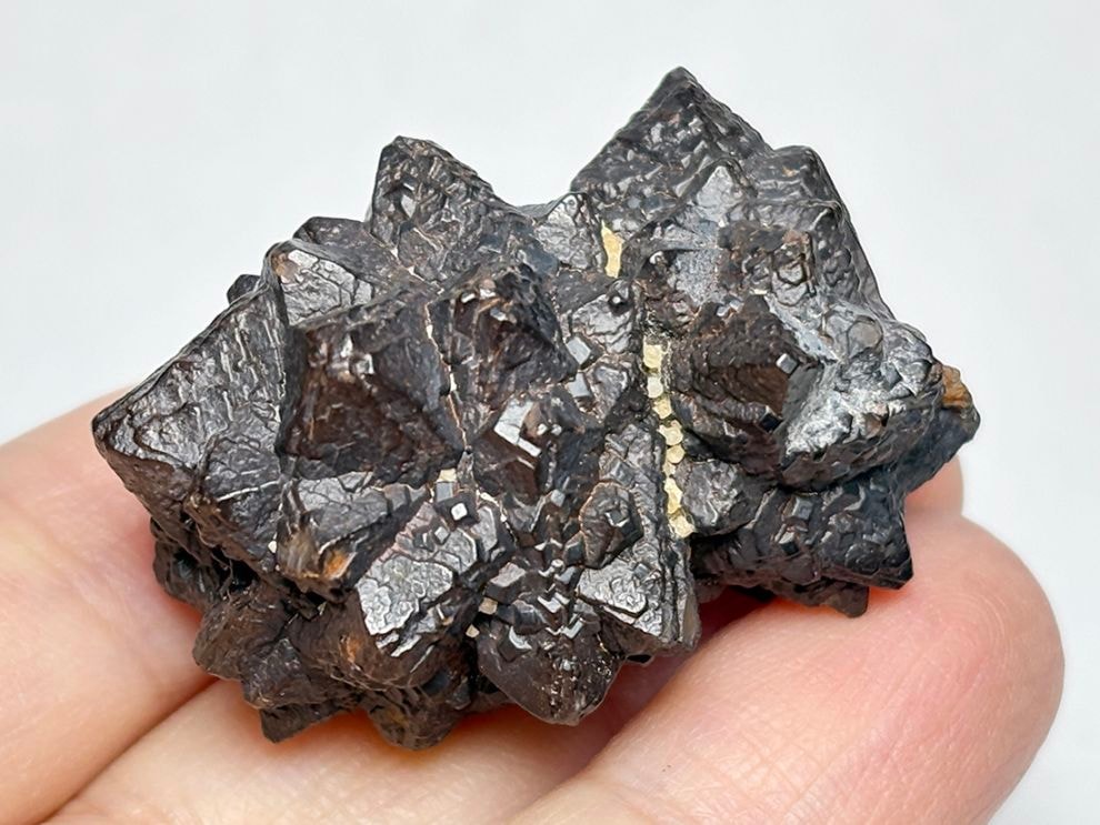 エジプトの星 ゼットストーン  (プロフェシーストーン)  / Prophecy Stone