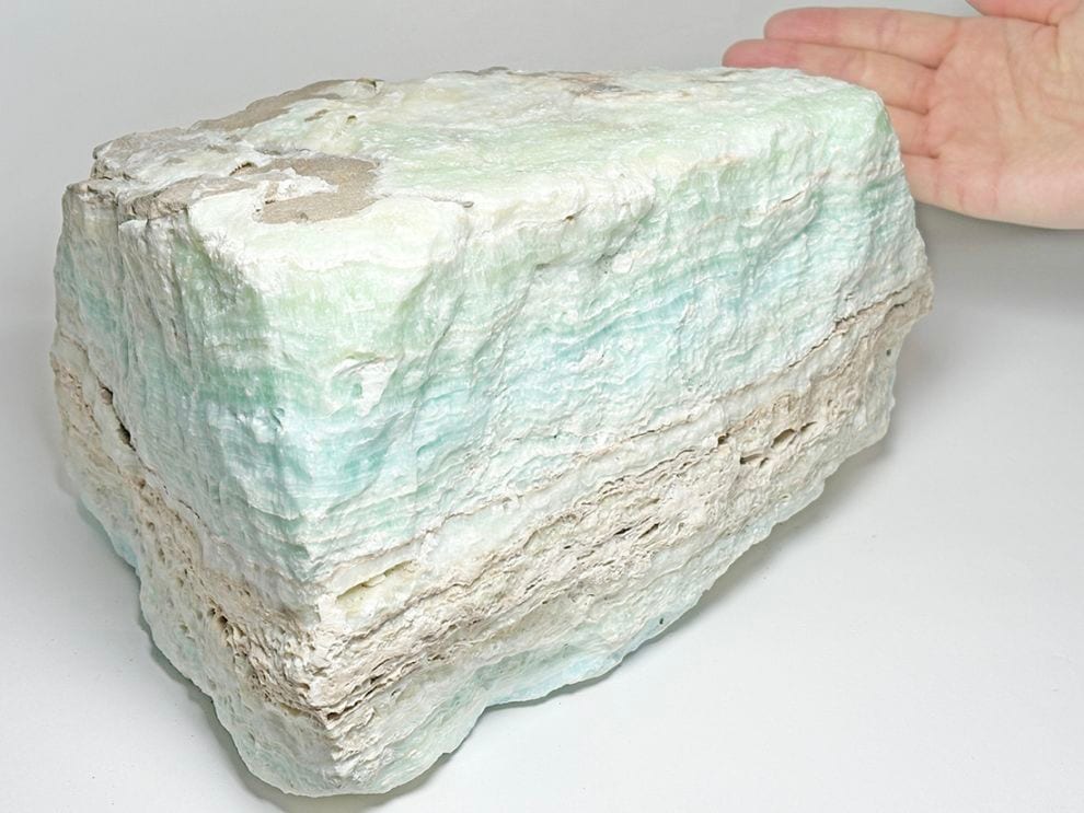 カリビアンブルーカルサイト