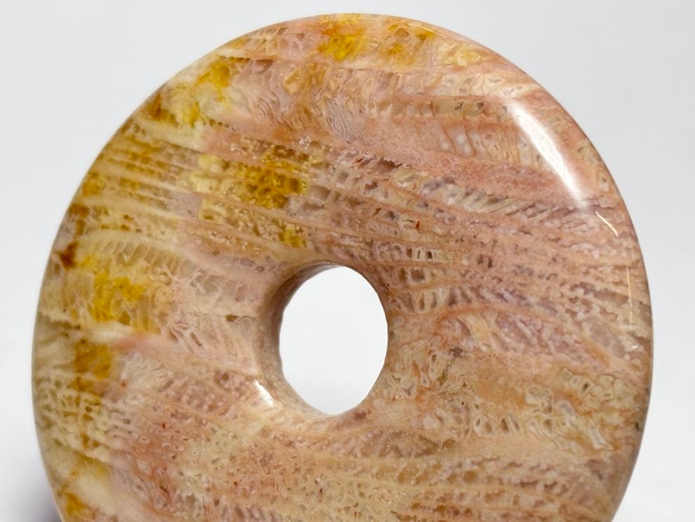 フォッシルコーラル (サンゴ化石 ) ルース /Fossil Coral