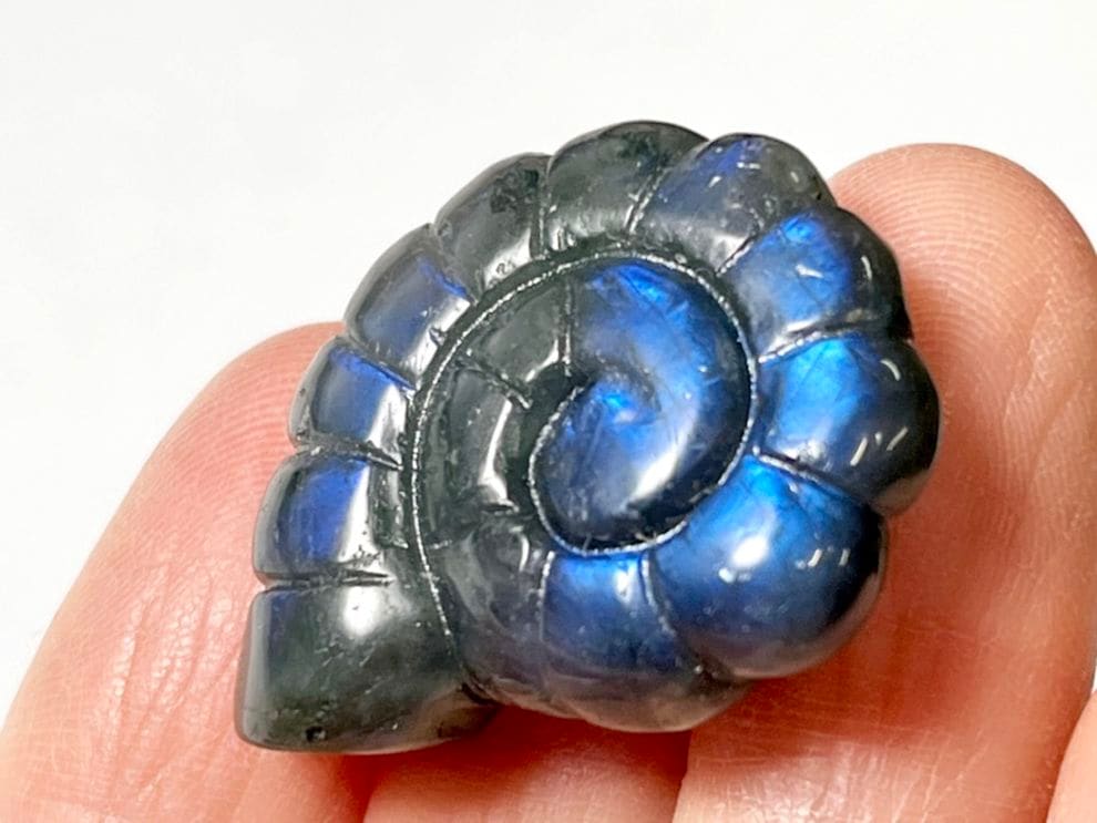 ラブラドライト アンモナイト 彫刻 / Labradorite 