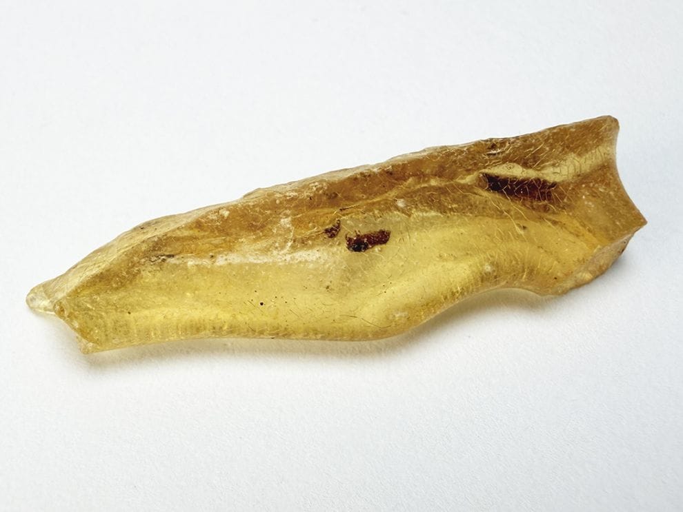 マダガスカル産 虫入りコパル / copal (Young Amber)