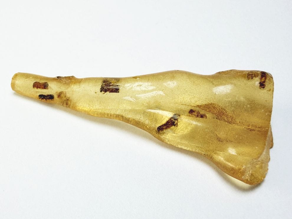 マダガスカル産 虫入りコパル / copal (Young Amber)