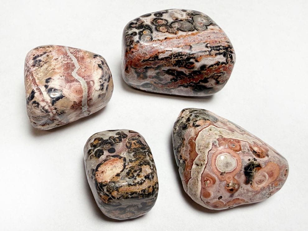 メキシコ産 レオパードスキンジャスパー タンブル 4個セット  / Leopard Skin Jasper
