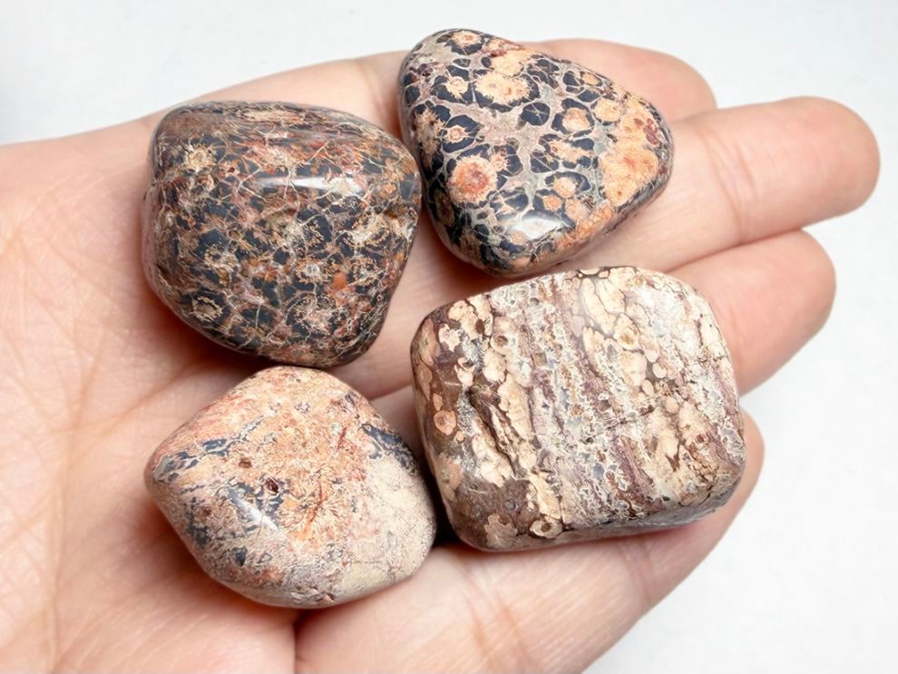 メキシコ産 レオパードスキンジャスパー タンブル 4個セット  / Leopard Skin Jasper