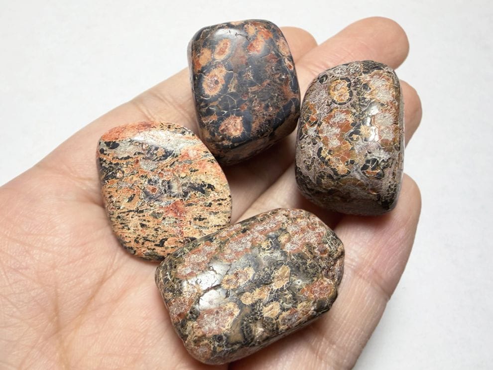 メキシコ産 レオパードスキンジャスパー タンブル 4個セット  / Leopard Skin Jasper