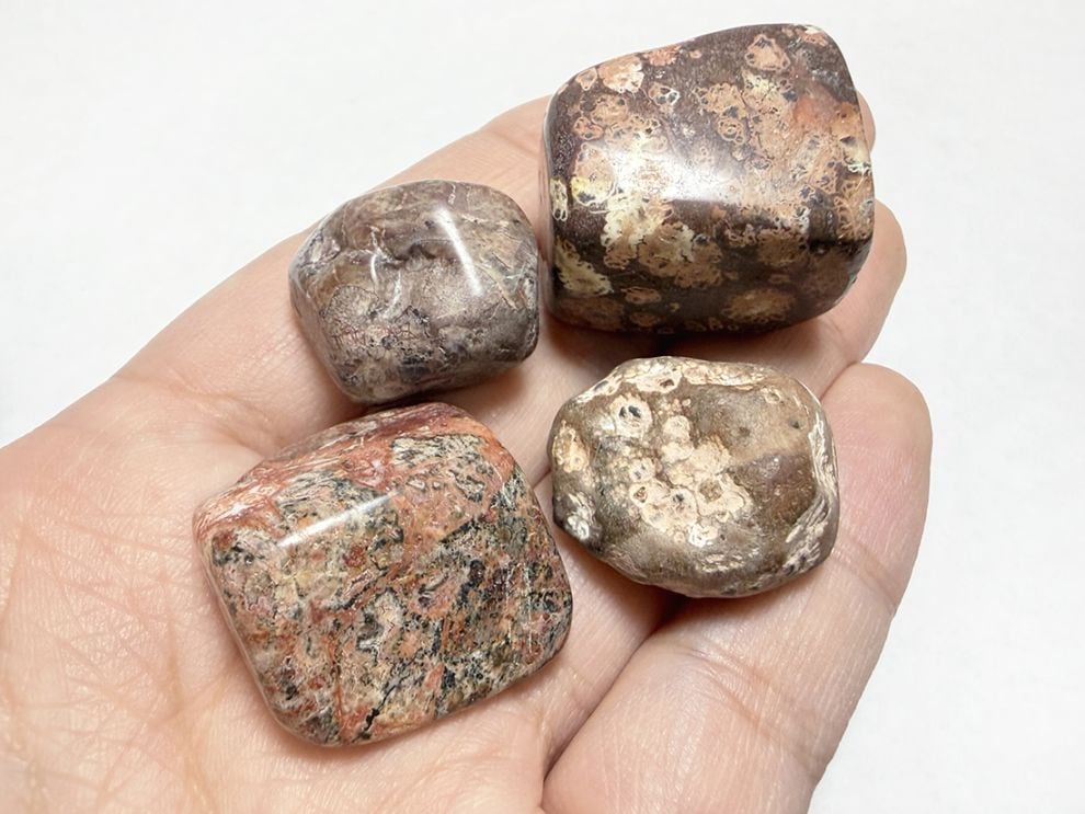 メキシコ産 レオパードスキンジャスパー タンブル 4個セット  / Leopard Skin Jasper
