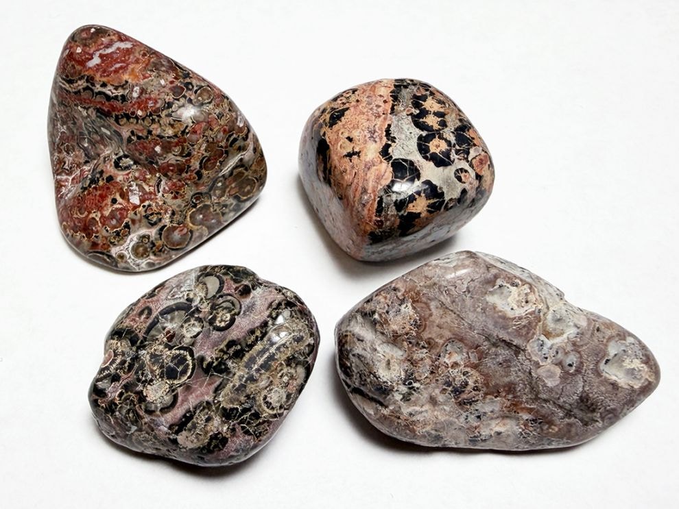 メキシコ産 レオパードスキンジャスパー タンブル 4個セット  / Leopard Skin Jasper