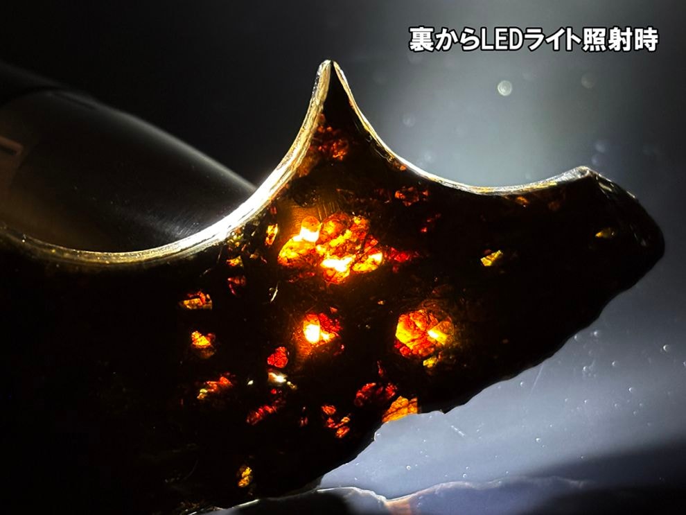 ケニア産 セリコパラサイト隕石 / Sericho Pallasite Meteorite