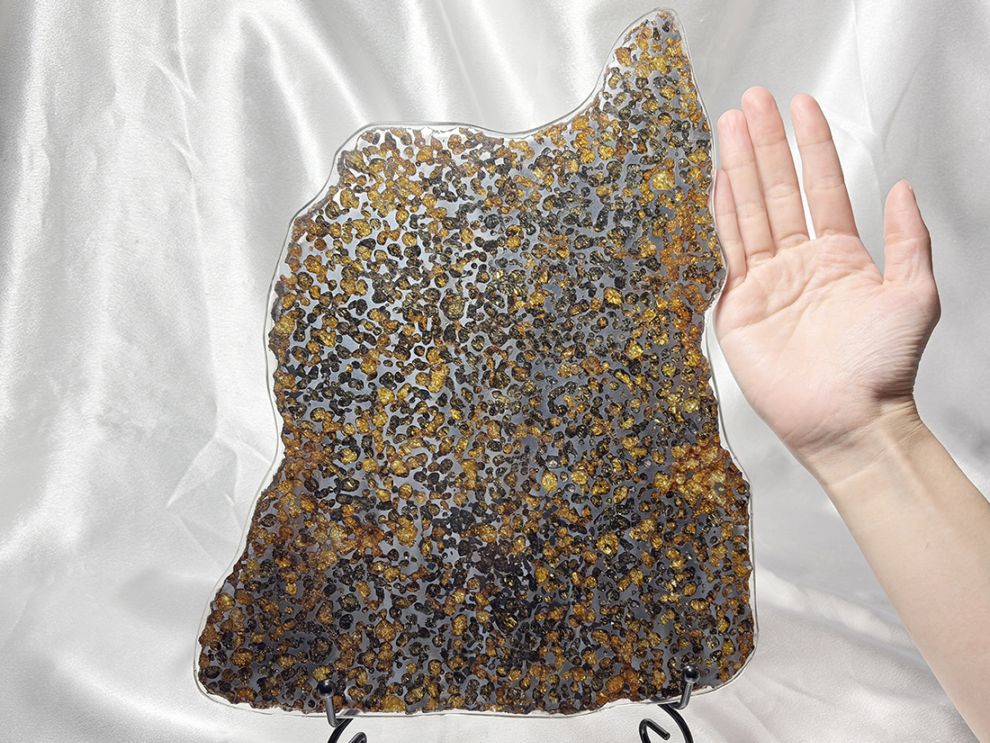 ケニア産 セリコパラサイト隕石 特大 / Sericho Pallasite Meteorite