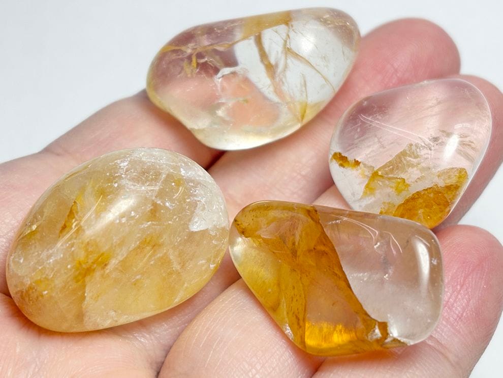 ゴールデンヒーラー タンブル4個セット / Golden Healer 