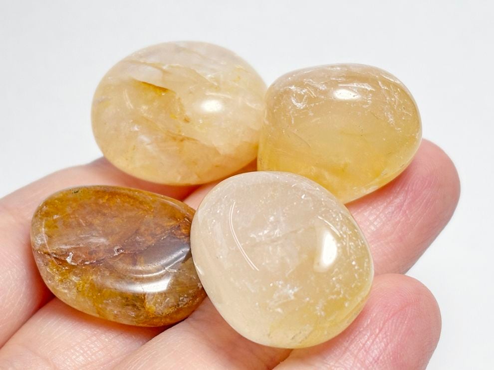 ゴールデンヒーラー タンブル4個セット / Golden Healer 