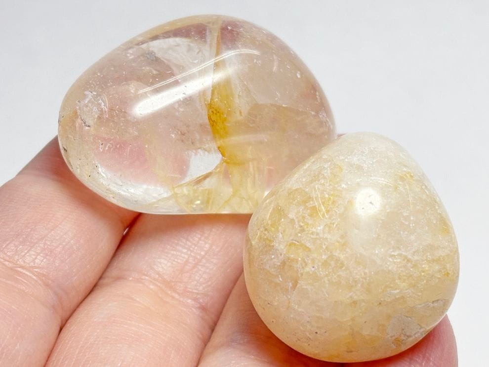 ゴールデンヒーラー タンブル2個セット / Golden Healer 