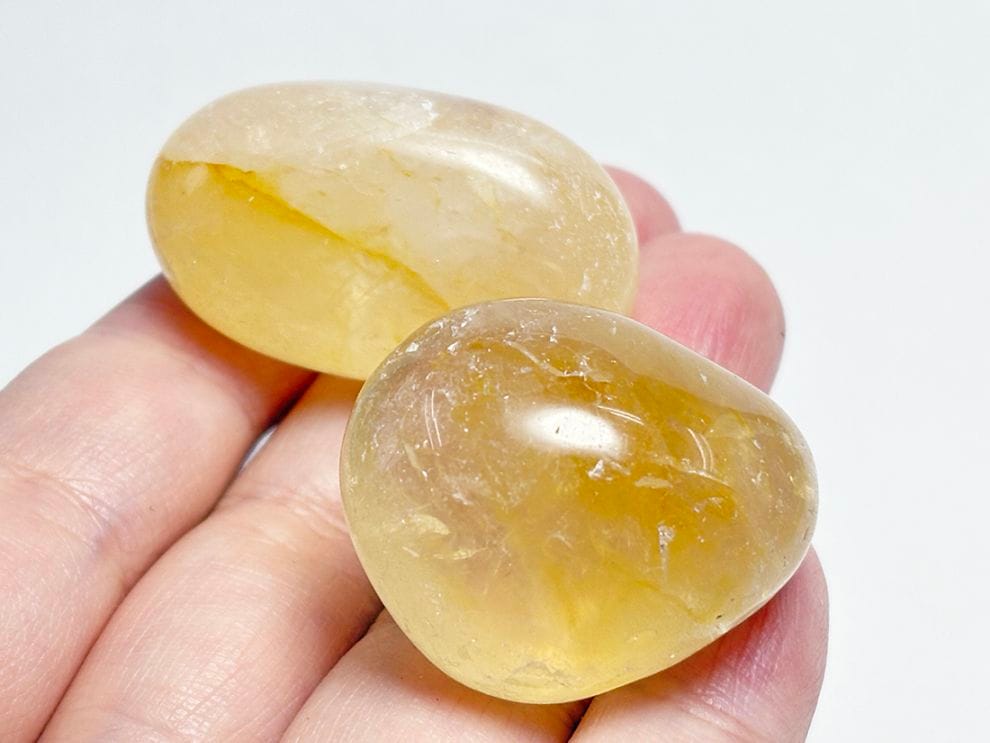 ゴールデンヒーラー タンブル2個セット / Golden Healer 