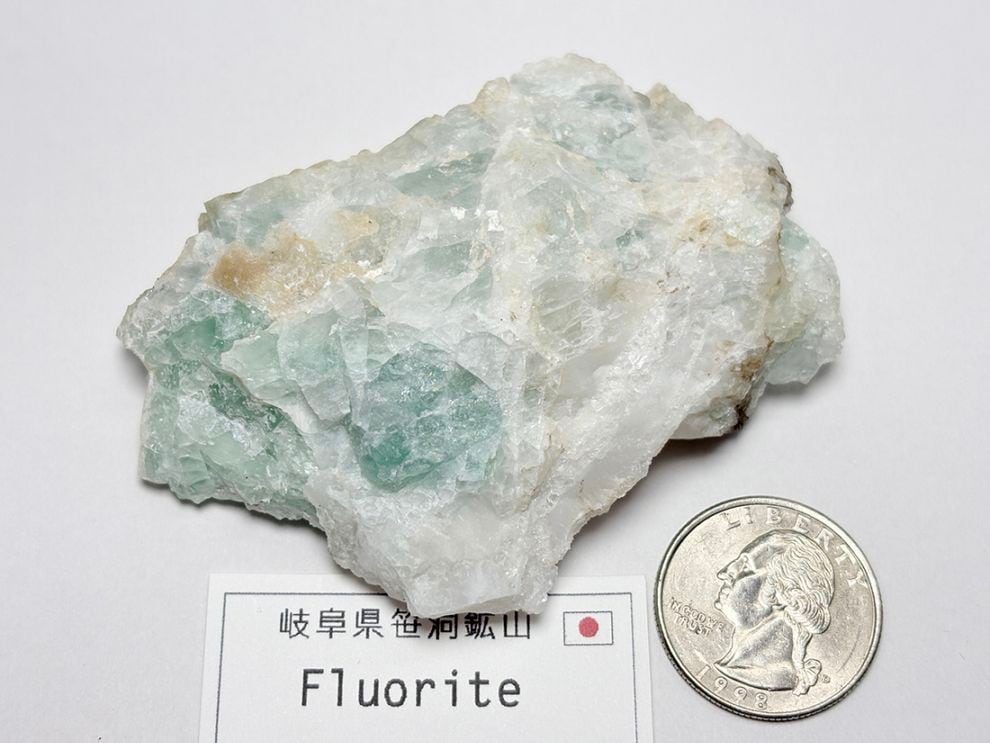 岐阜県笹洞鉱山 フローライト / Fluorite