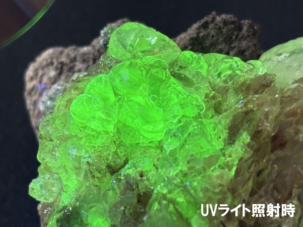 メキシコ産ハイアライト(玉滴石)/Hyalite