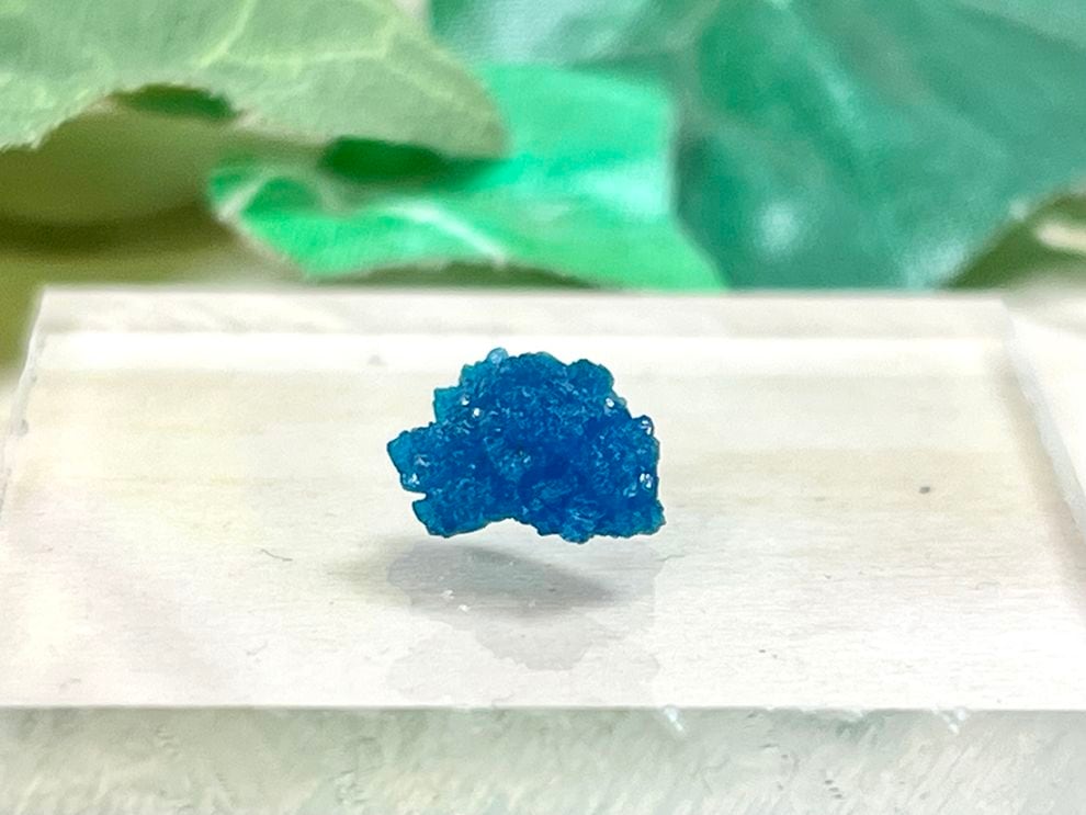 インド産 カバンサイト / Cavansite ( カバンシ石 )【ミニチュア鉱物】