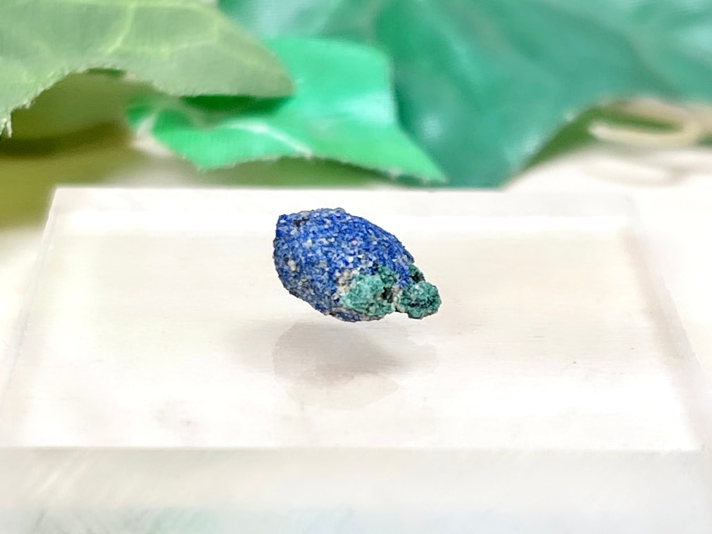 ユタ州産 アズライト / azurite ( 藍銅鉱 )【ミニチュア鉱物】
