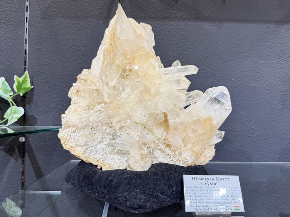 インド・マニカラン産 ヒマラヤ水晶  クラスター / Himalayan Quartz