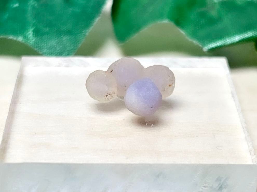インドネシア産 グレープカルセドニー / grape chalcedony ( 葡萄状玉髄 )【ミニチュア鉱物】