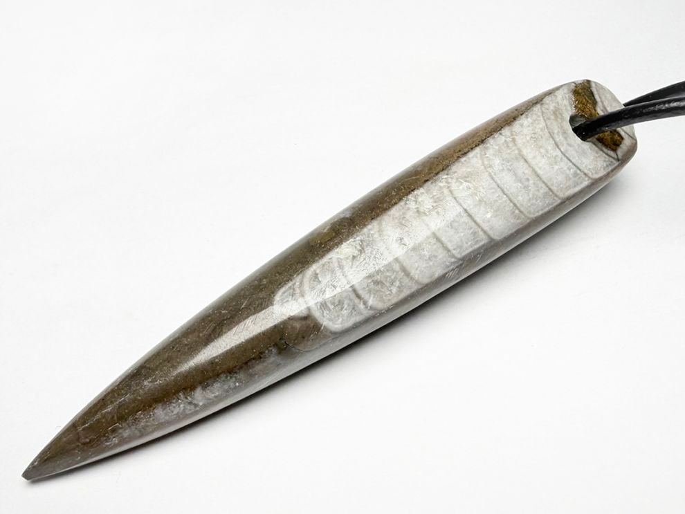 モロッコ産オルソセラス化石  ペンダントトップ /Orthoceras
