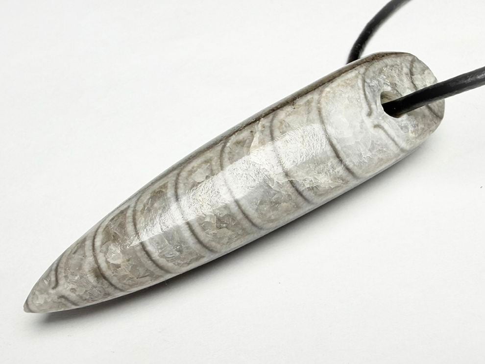 モロッコ産オルソセラス化石  ペンダントトップ /Orthoceras