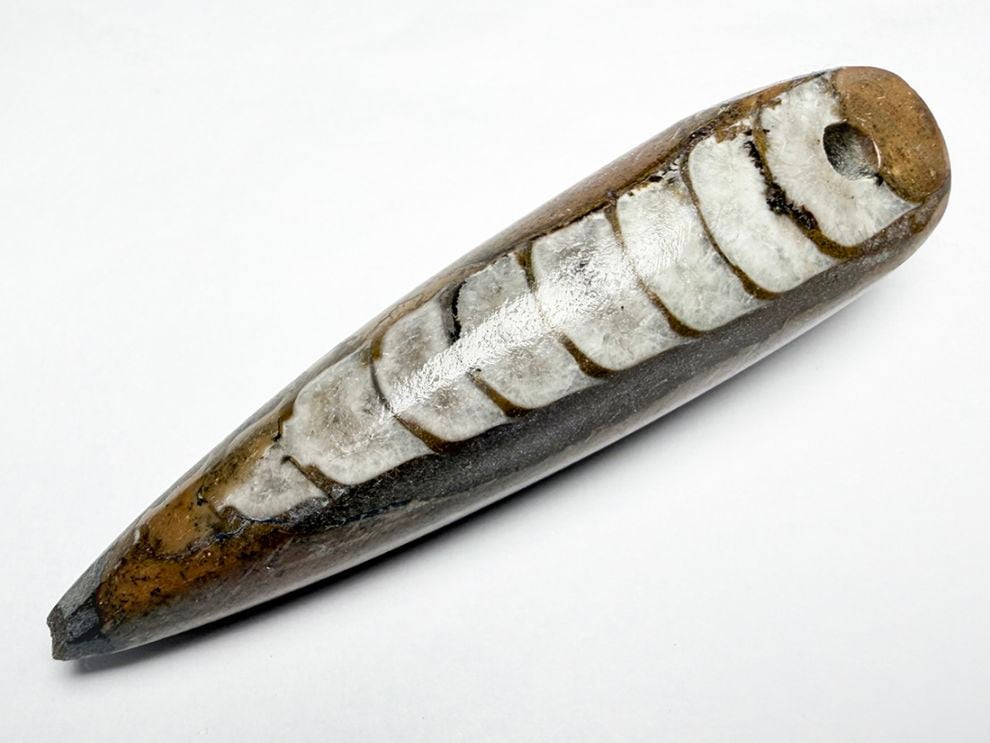 モロッコ産オルソセラス化石  ペンダントトップ /Orthoceras