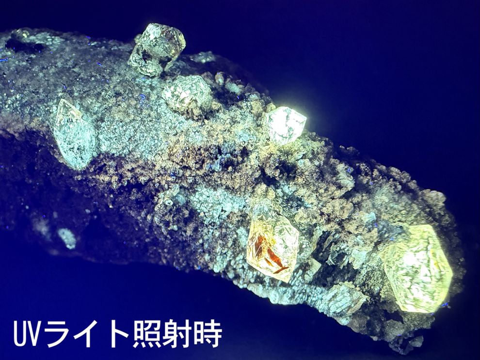 【レア】 パキスタン産 石油入り水晶 母岩付き(蛍光)/ Petroleum in Quartz