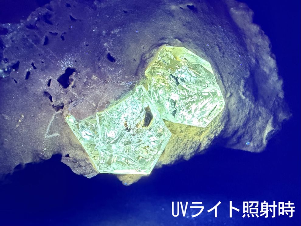 【レア】 パキスタン産 石油入り水晶 母岩付き(蛍光)/ Petroleum in Quartz