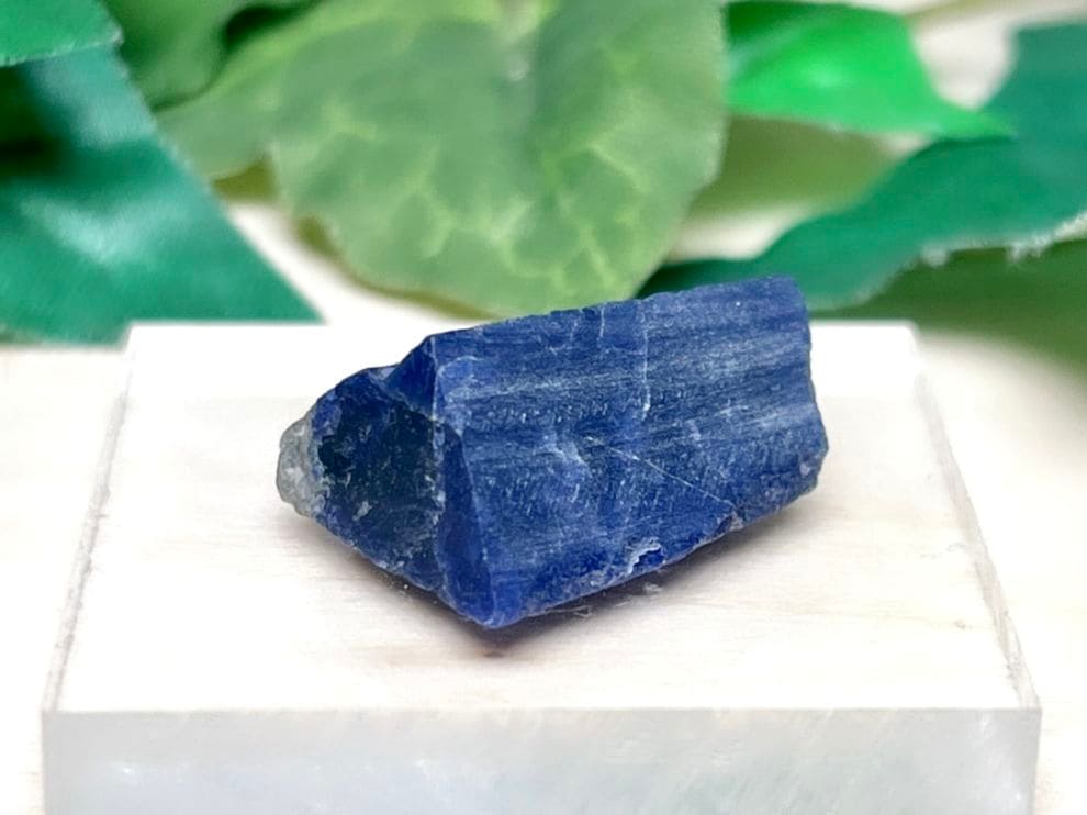 ブラジル産 ソーダライト / Sodalite  ( 方ソーダ石 )【ミニチュア鉱物】