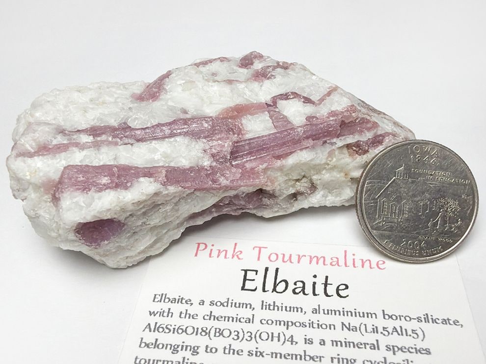 エルバイト