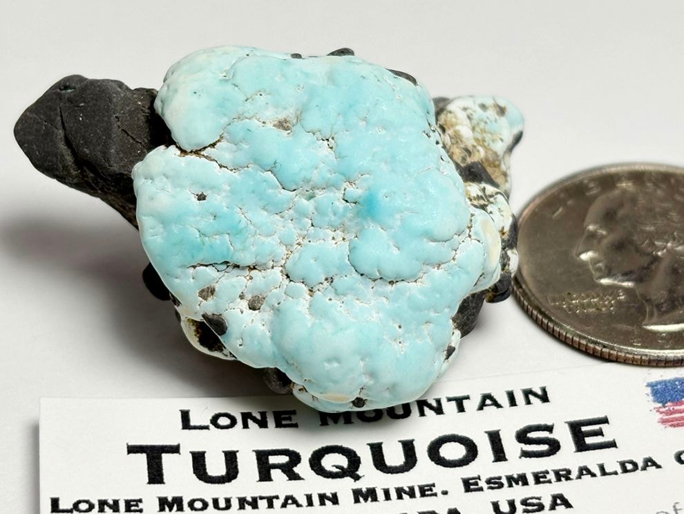 ネバダ州ローンマウンテン鉱山産ターコイズ / Turquoise