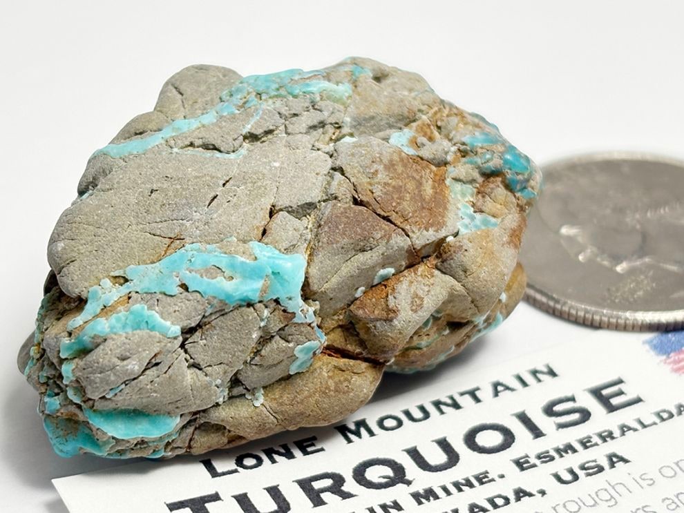 ネバダ州ローンマウンテン鉱山産ターコイズ / Turquoise