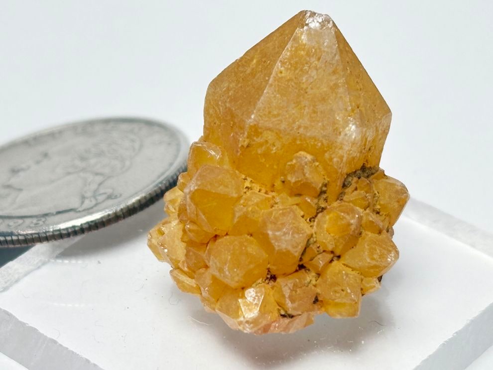 南アフリカ産 サンシャインクォーツ  (カクタスリモーネ)/ Cactus Quartz