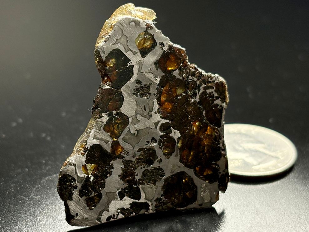 ロシア産 セイムチャン隕石 パラサイト / Seymchan meteorite