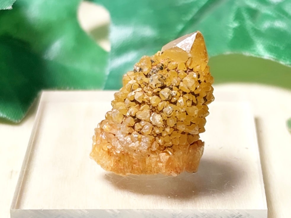 南アフリカ産 サンシャインクォーツ / Cuctus Quartz ( サボテン水晶