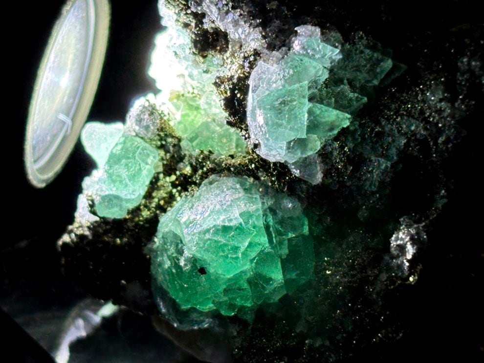 ペルー・ミルポ鉱山産 フローライト＆パイライト / Fluorite＆Pyrite