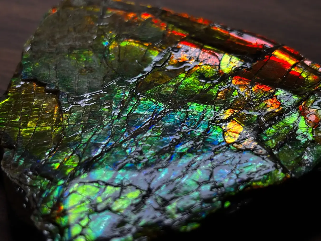 カナダ・アルバータ州産 アンモライト / Ammolite
