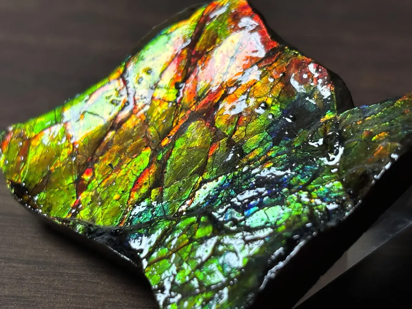 カナダ・アルバータ州産 アンモライト / Ammolite