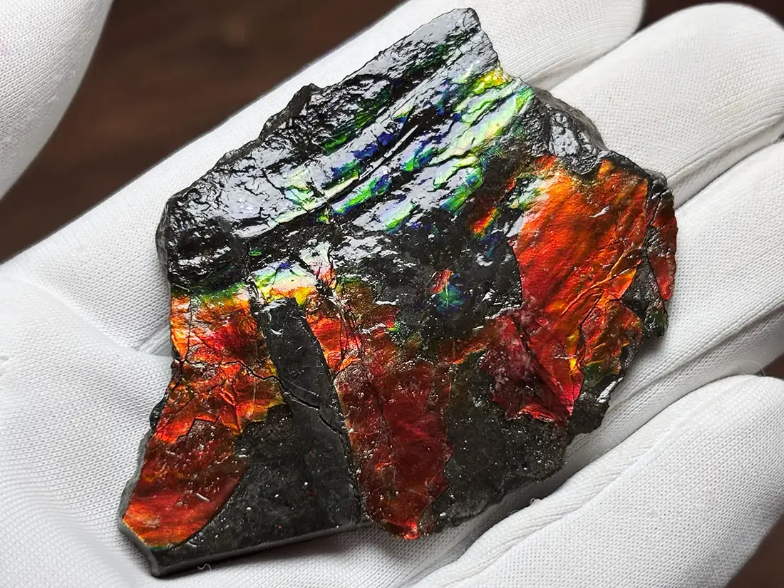 580ct カナダ産 アンモライト 樹脂スタビライズ加工 天然宝石 化石 標本 カナダ・アルバータ州産 アンモライト / Ammolite