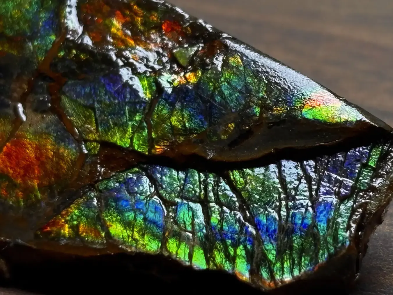 カナダ・アルバータ州産 アンモライト / Ammolite