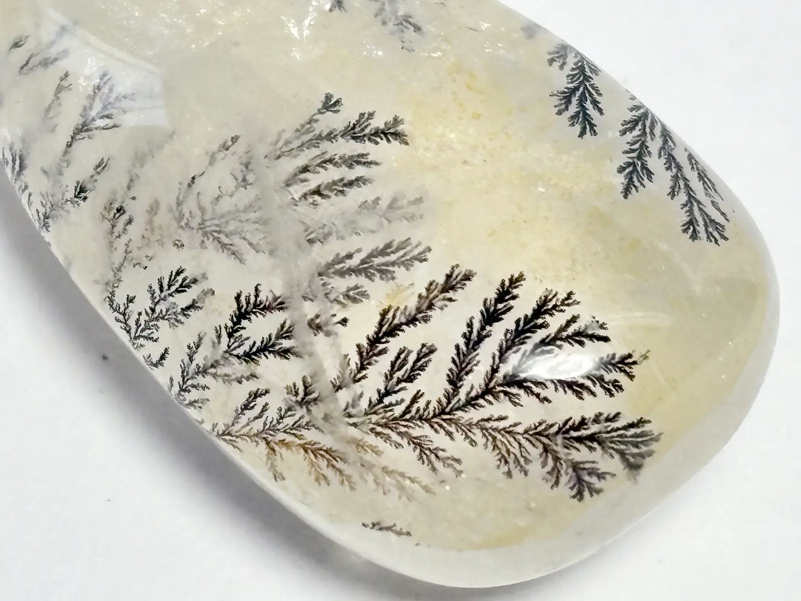 デンドリティッククォーツ ルース/ Dendritic Quartz Loose