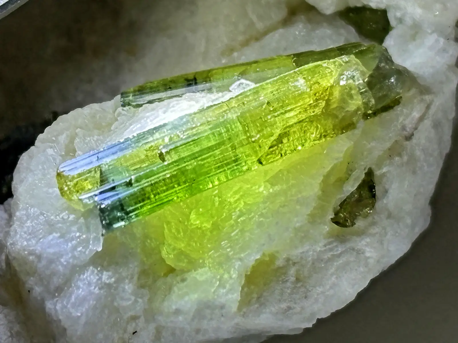 ブラジル産 トルマリン (電気石)/ Tourmaline