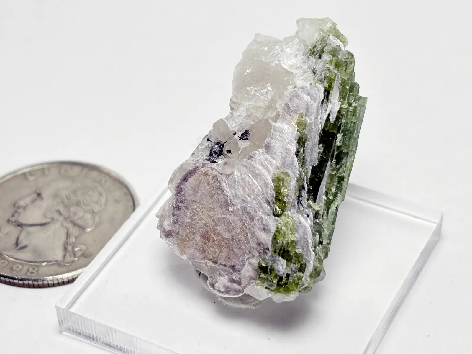 エルバイト