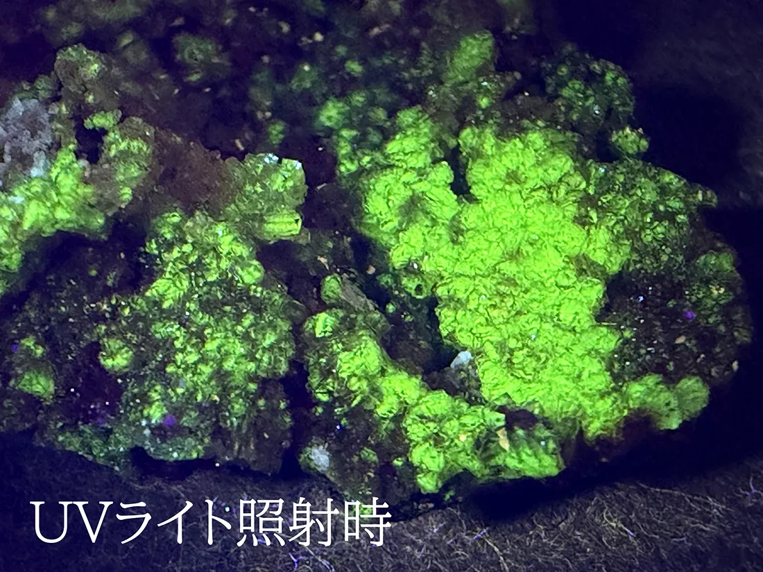 アダマイト メキシコ産 蛍光鉱物 アダム石 ベラクルス鉱山 天然石 アダマイト(アダム鉱)