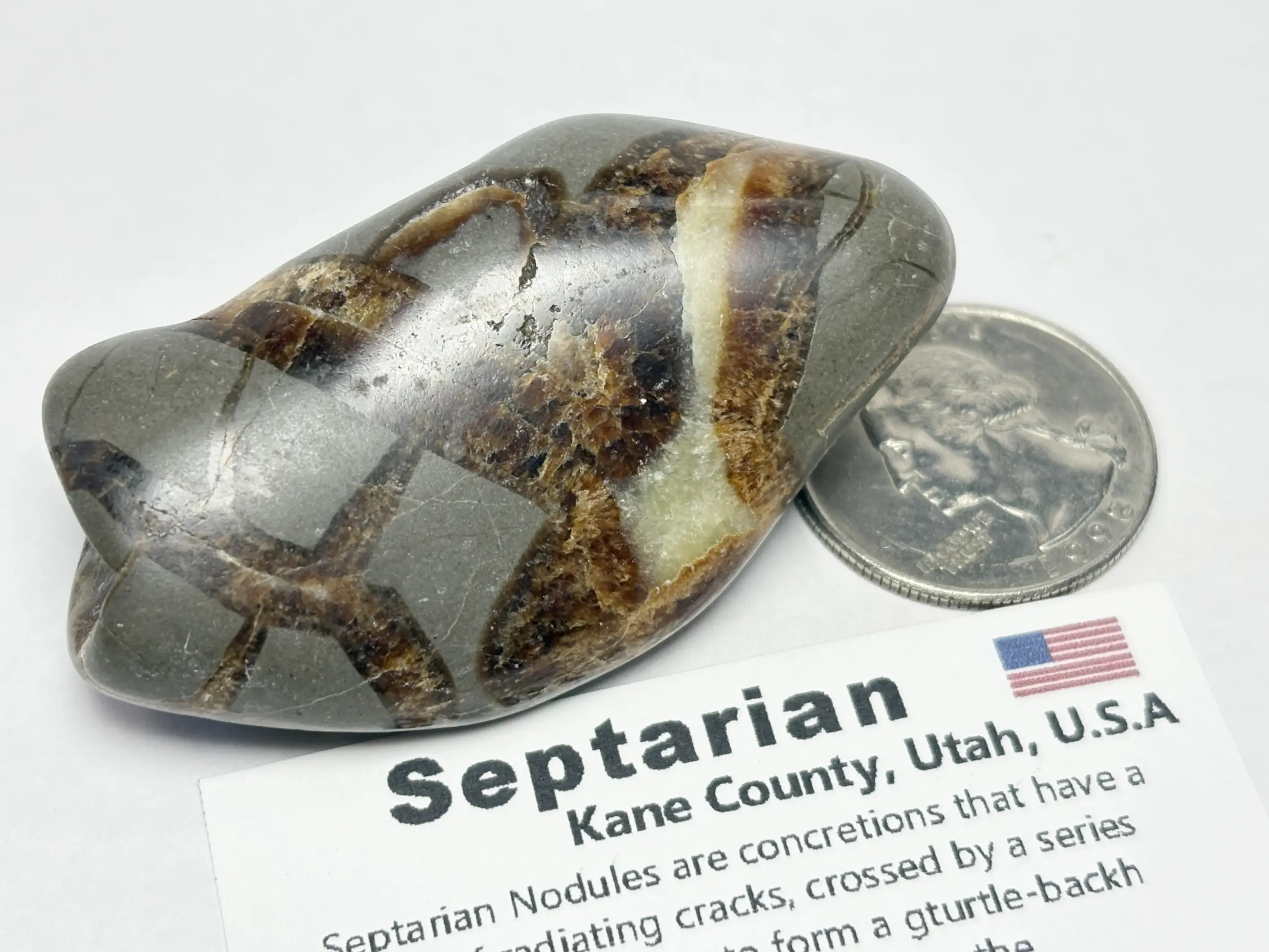アメリカ・ユタ州産 セプタリアン タンブル /Septarian