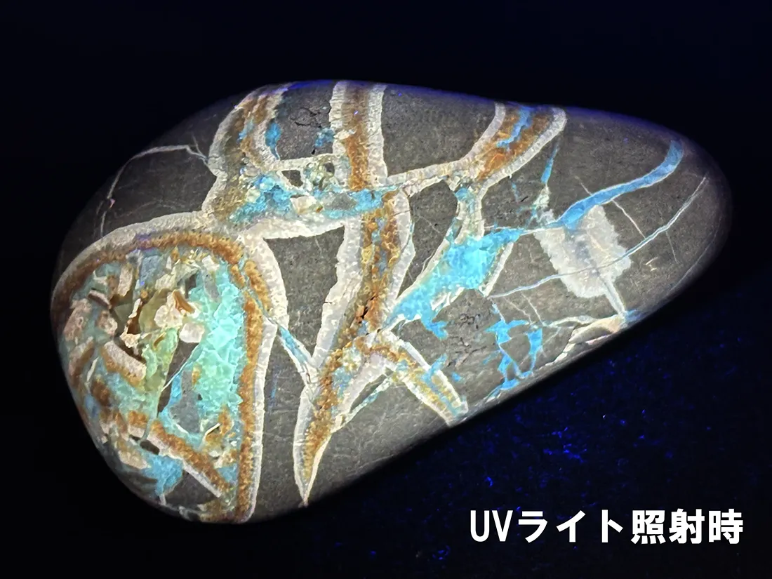 アメリカ・ユタ州産 セプタリアン タンブル /Septarian