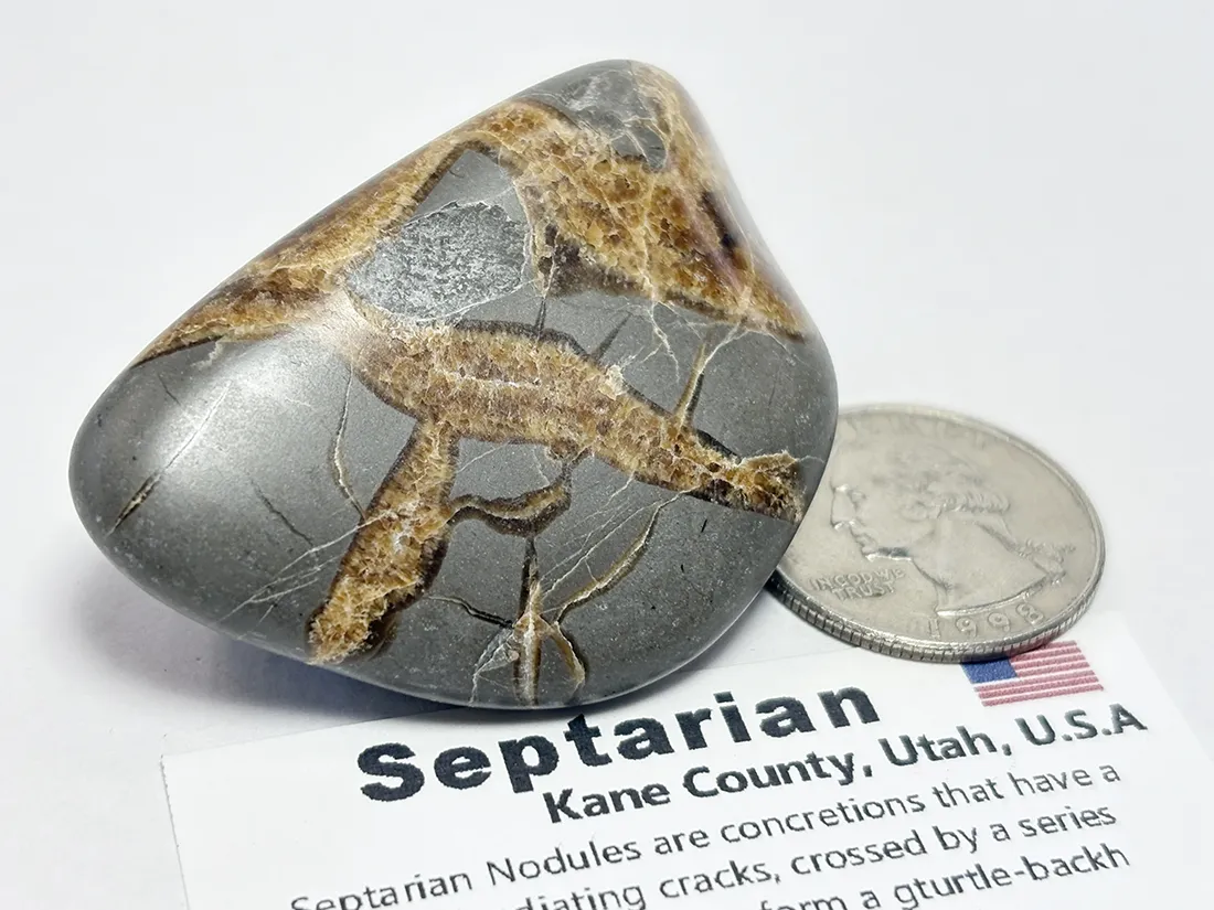 アメリカ・ユタ州産 セプタリアン タンブル /Septarian