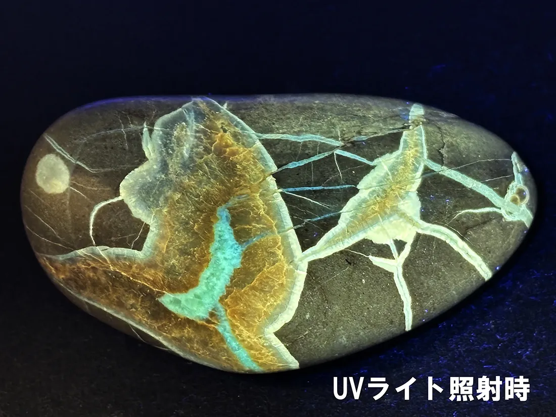 アメリカ・ユタ州産 セプタリアン タンブル /Septarian