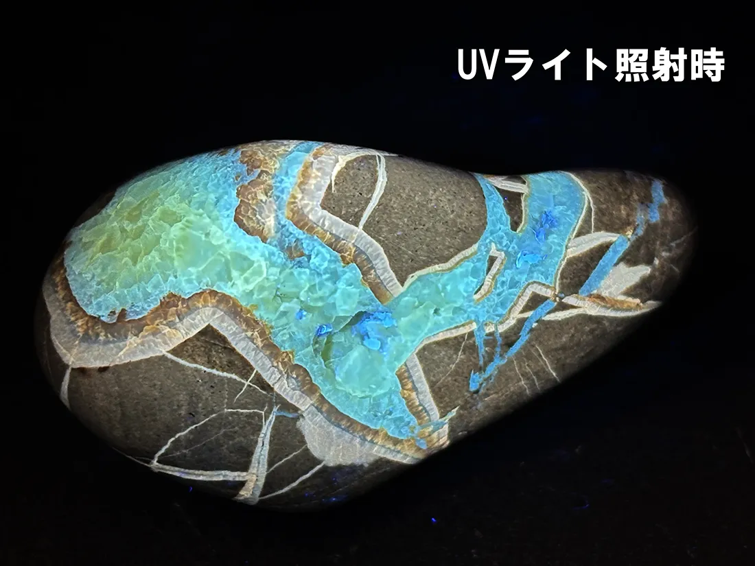 アメリカ・ユタ州産 セプタリアン タンブル /Septarian