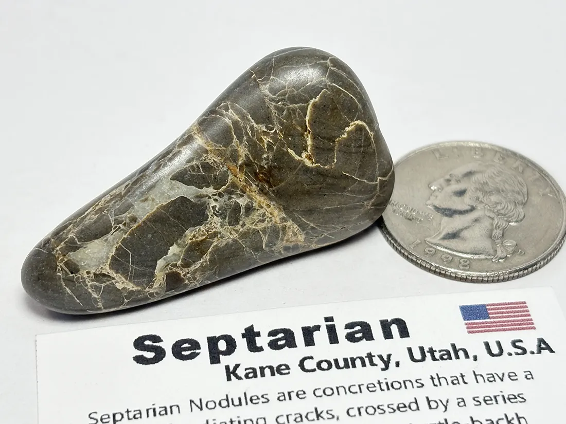 アメリカ・ユタ州産 セプタリアン タンブル /Septarian